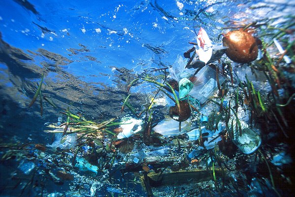 garbage patch